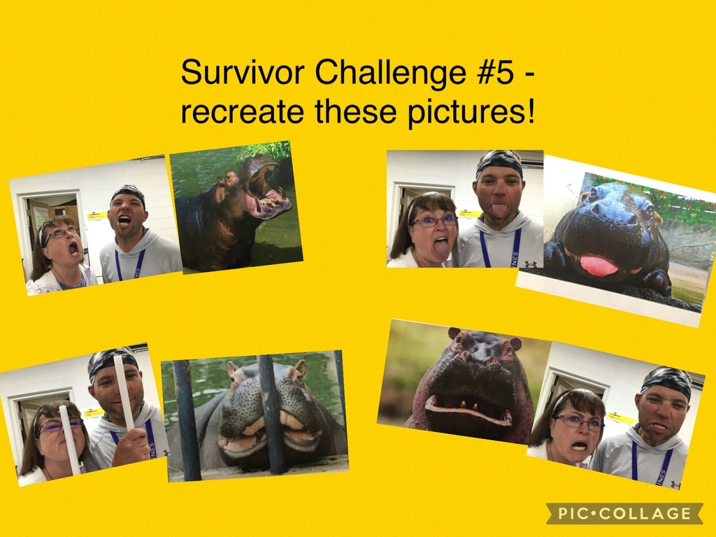 Survivor challenge