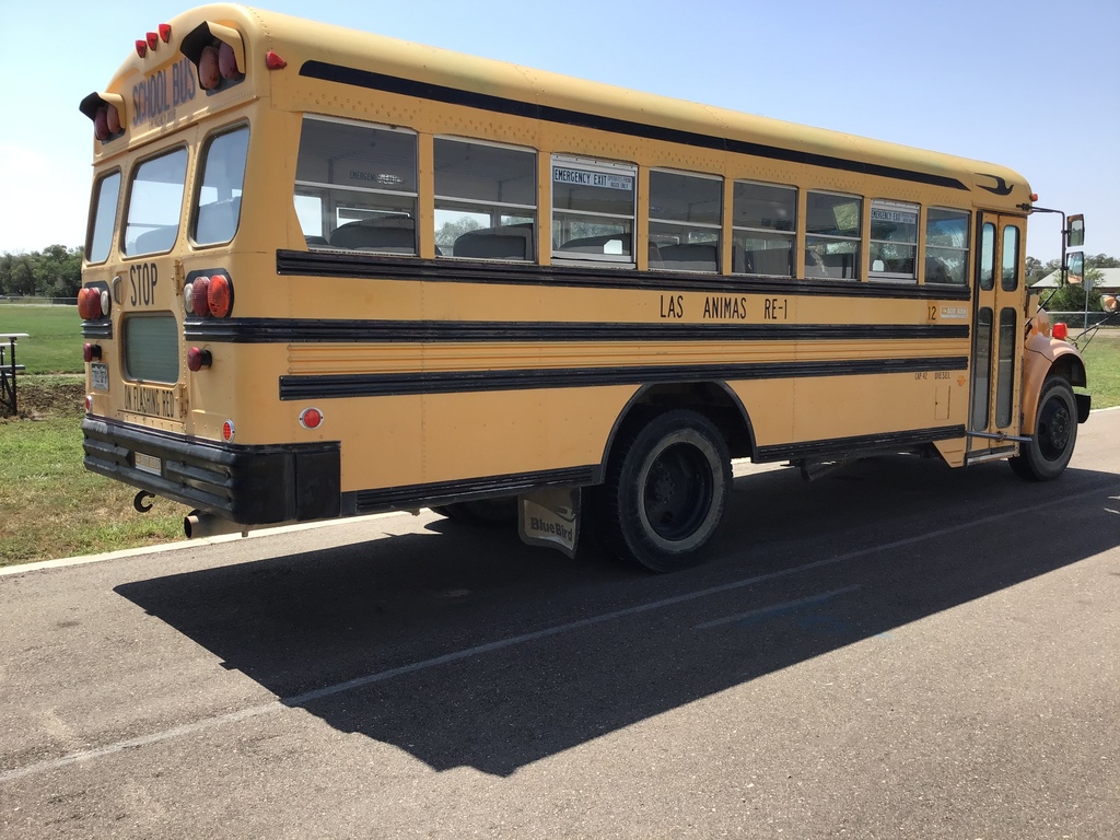 Picture of bus for sale